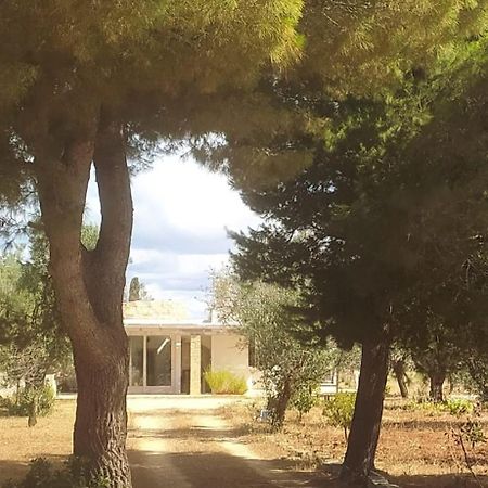 Trullo Contrada Specchi Apartment Racale Exterior photo