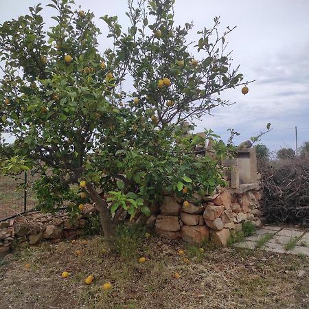 Trullo Contrada Specchi Apartment Racale Exterior photo