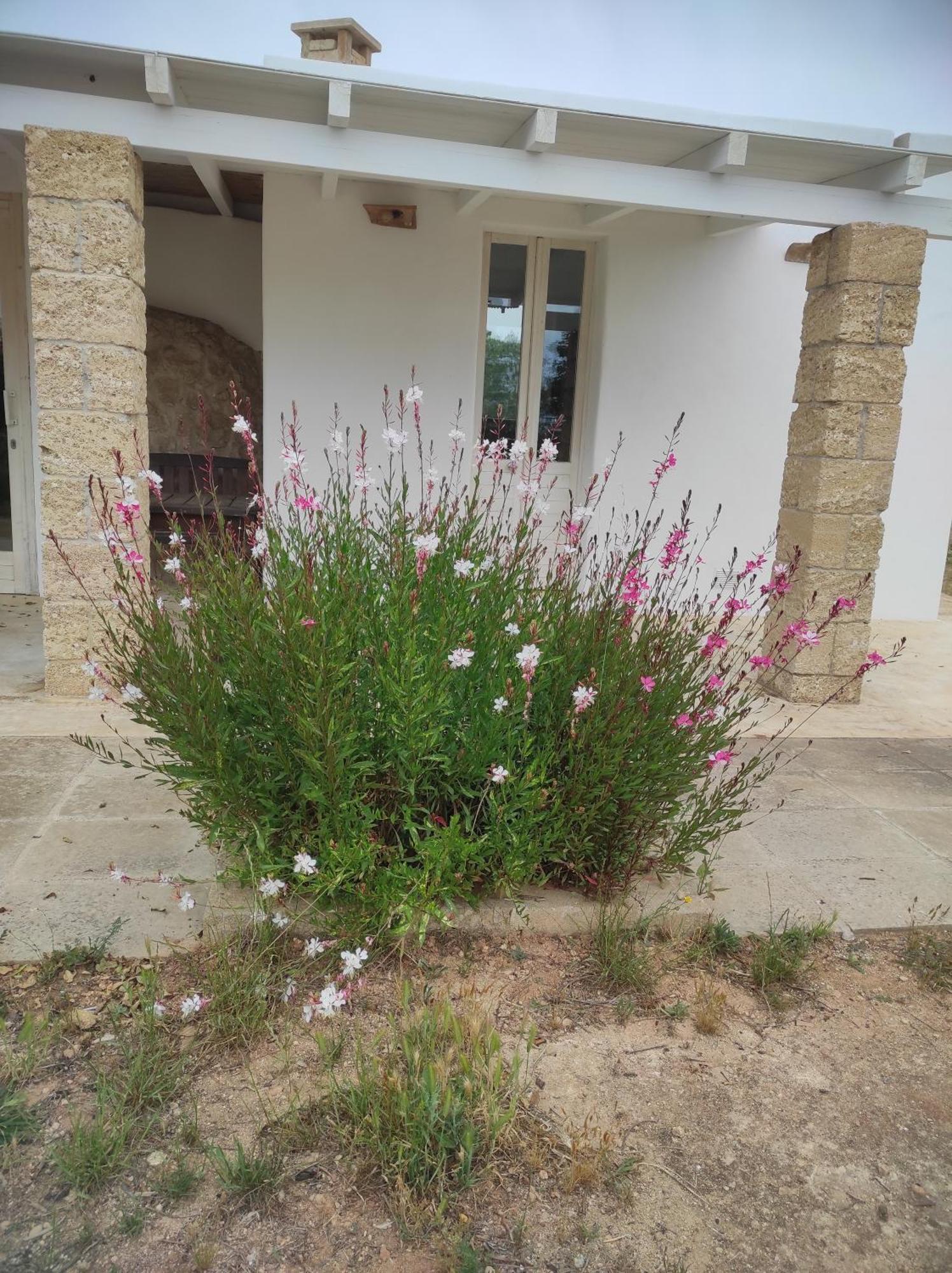 Trullo Contrada Specchi Apartment Racale Exterior photo