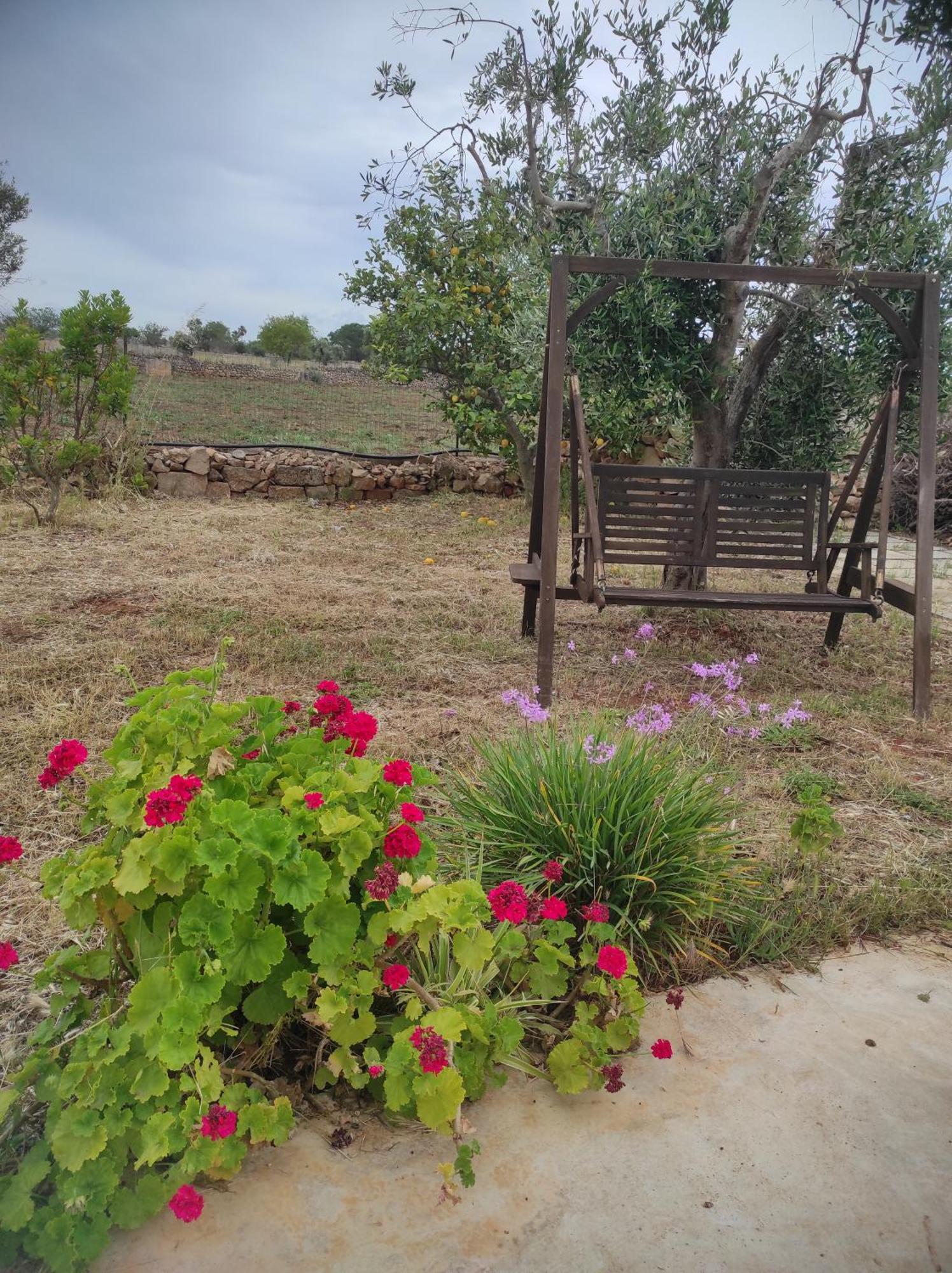 Trullo Contrada Specchi Apartment Racale Exterior photo