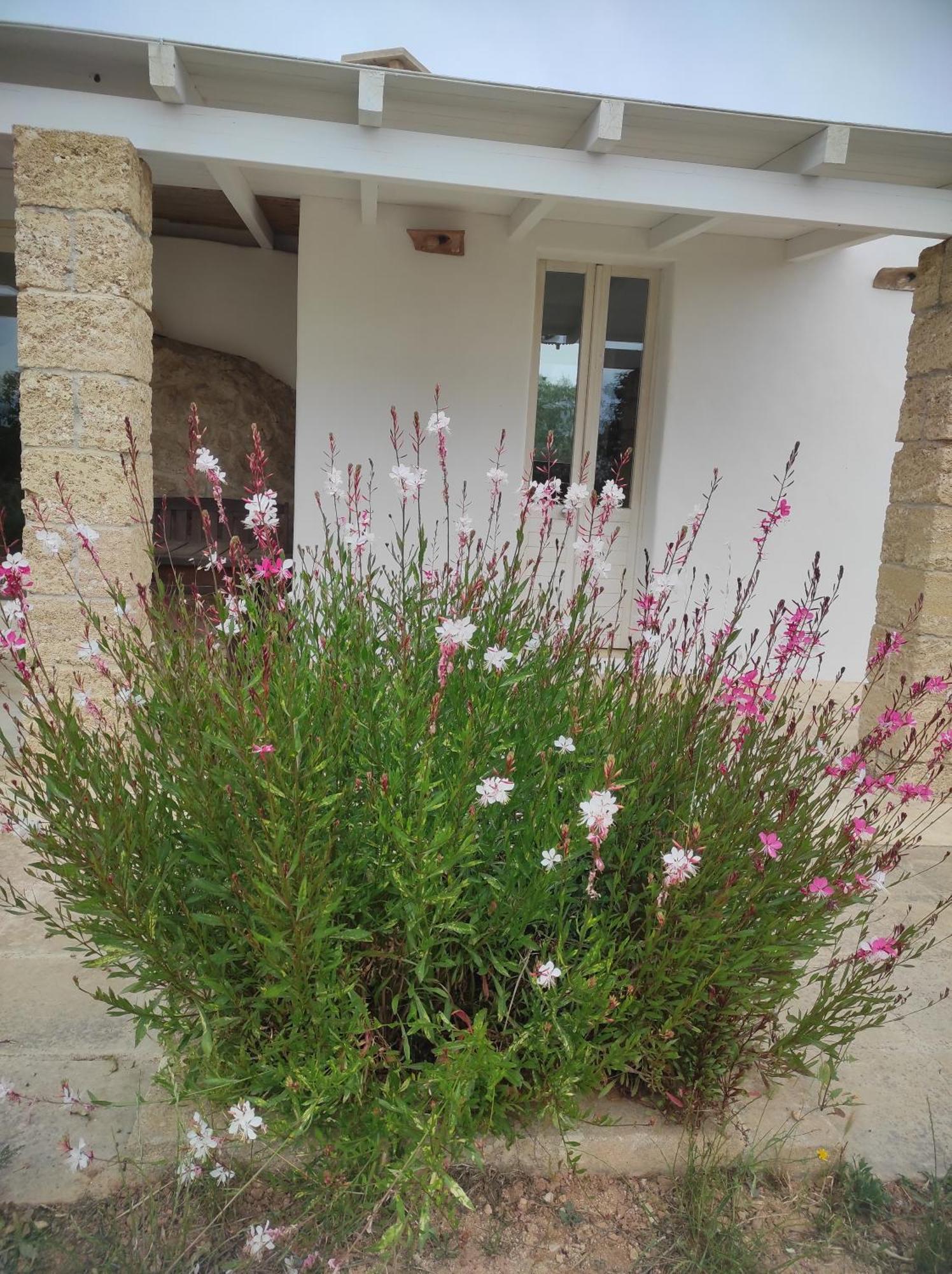 Trullo Contrada Specchi Apartment Racale Exterior photo